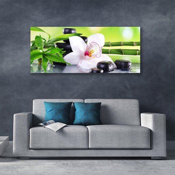Tablou pe panza canvas Bambus Tulpini flori Stones Floral Verde Alb Negru