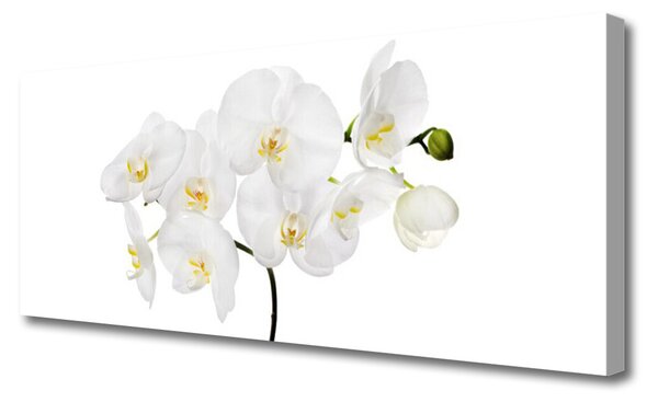 Tablou pe panza canvas Flori Floral alb