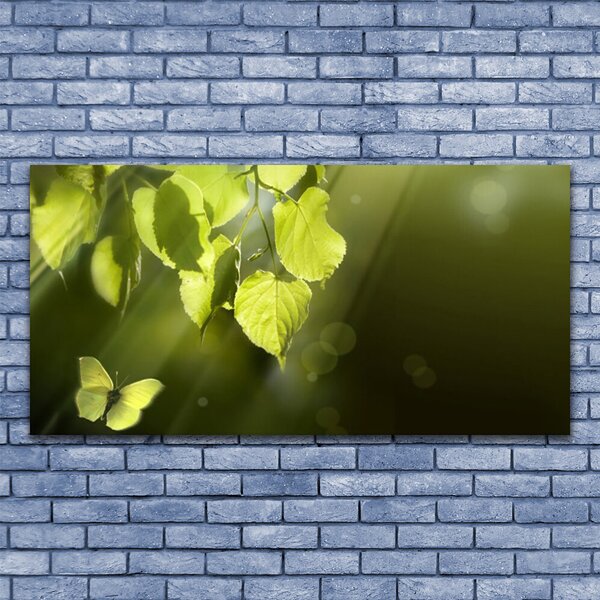 Tablou pe panza canvas Butterfly Frunze Natura verde