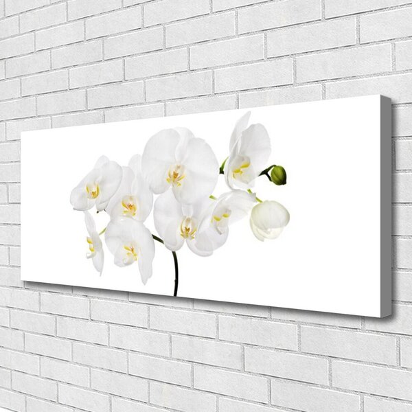 Tablou pe panza canvas Flori Floral alb