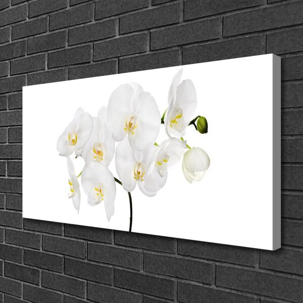 Tablou pe panza canvas Flori Floral alb