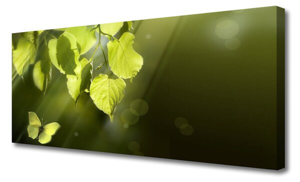 Tablou pe panza canvas Butterfly Frunze Natura verde