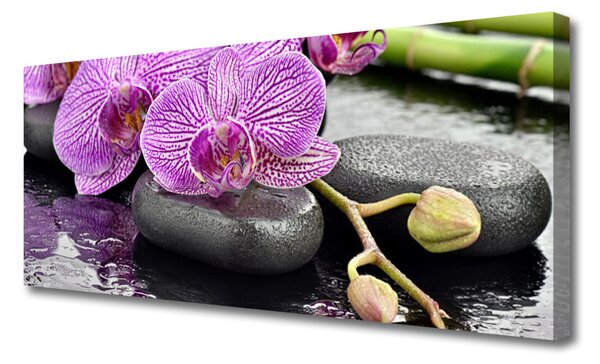 Tablou pe panza canvas Pietrele florale flori roz gri