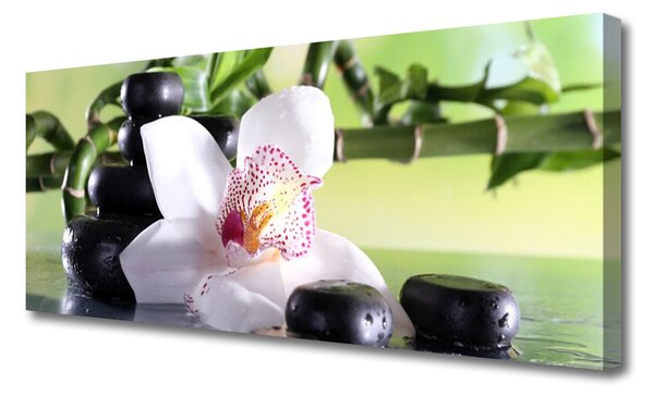 Tablou pe panza canvas Bambus Cane flori Stones Floral Verde Alb Negru