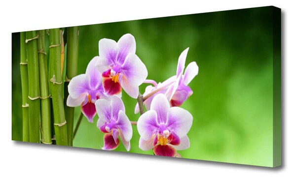 Tablou pe panza canvas Bamboo Tube Flori Floral Verde Roz