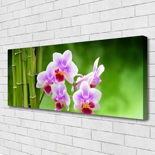 Tablou pe panza canvas Bamboo Tube Flori Floral Verde Roz