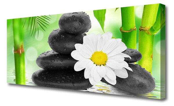 Tablou pe panza canvas Bamboo Tube flori Stones Arta Verde Alb Negru