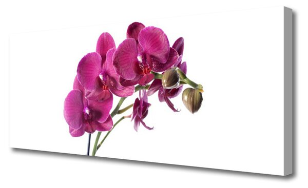 Tablou pe panza canvas Flori Floral Roșu
