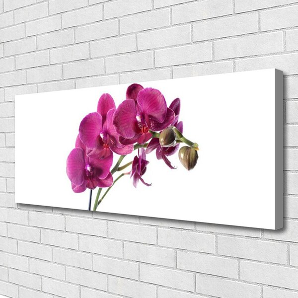 Tablou pe panza canvas Flori Floral Roșu