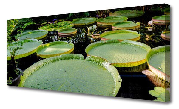 Tablou pe panza canvas Abstract Art Verde Negru