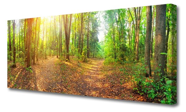 Tablou pe panza canvas Natural Pădurea Verde Maro