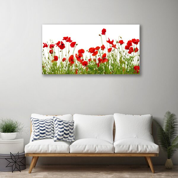 Tablou pe panza canvas Meadow Maci Natura Verde Roșu