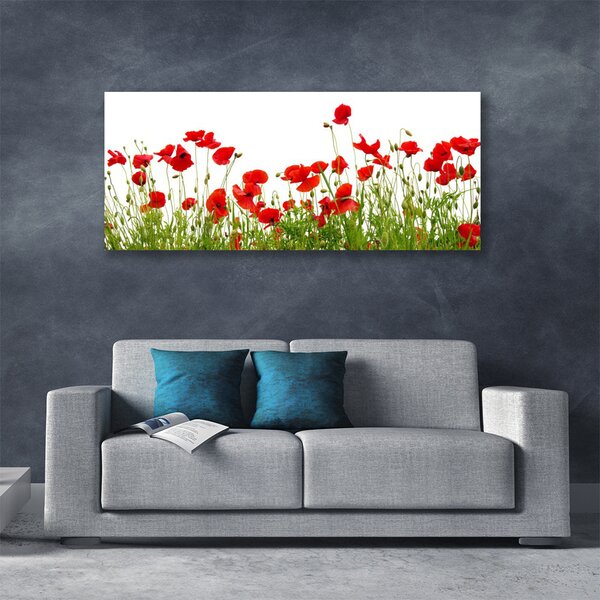 Tablou pe panza canvas Meadow Maci Natura Verde Roșu