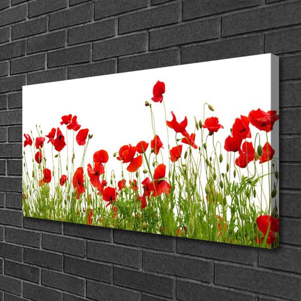 Tablou pe panza canvas Meadow Maci Natura Verde Roșu