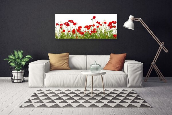 Tablou pe panza canvas Meadow Maci Natura Verde Roșu