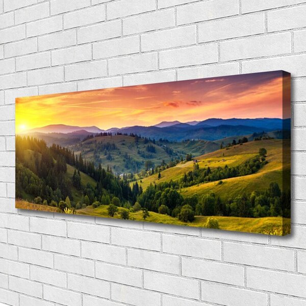 Tablou pe panza canvas Sun Mountain Forest Meadow Natura Galben Albastru Verde