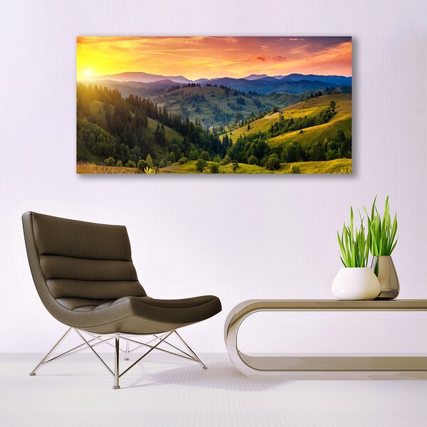 Tablou pe panza canvas Sun Mountain Forest Meadow Natura Galben Albastru Verde
