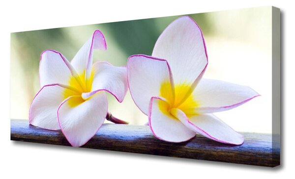 Tablou pe panza canvas Flori Floral Verde Roz