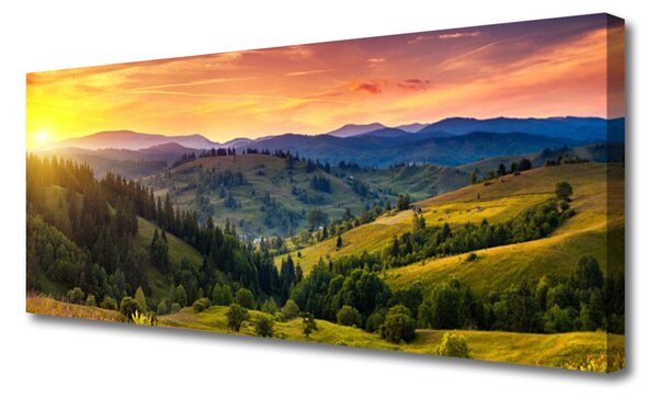 Tablou pe panza canvas Sun Mountain Forest Meadow Natura Galben Albastru Verde