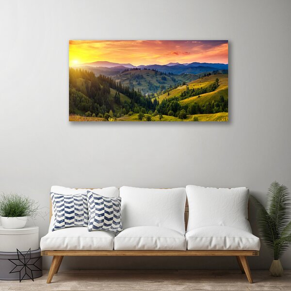 Tablou pe panza canvas Sun Mountain Forest Meadow Natura Galben Albastru Verde