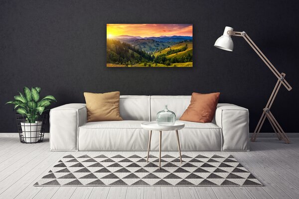 Tablou pe panza canvas Sun Mountain Forest Meadow Natura Galben Albastru Verde