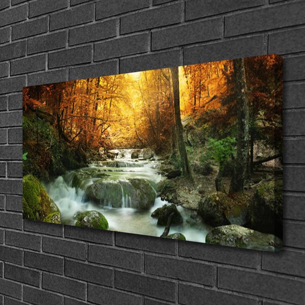 Tablou pe panza canvas Cascada Pietrele Natural Pădurea Brun Galben Gri Alb