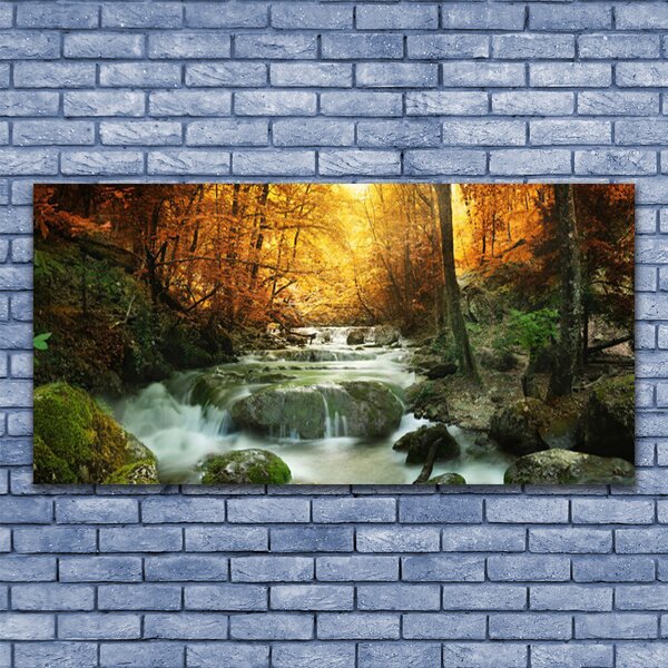 Tablou pe panza canvas Cascada Pietrele Natural Pădurea Brun Galben Gri Alb