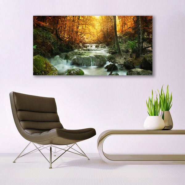 Tablou pe panza canvas Cascada Pietrele Natural Pădurea Brun Galben Gri Alb
