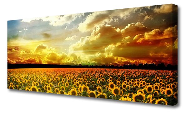 Tablou pe panza canvas Meadow Sunflowers Floral Galben Maro