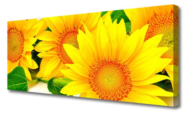Tablou pe panza canvas Floarea soarelui Floral Galben