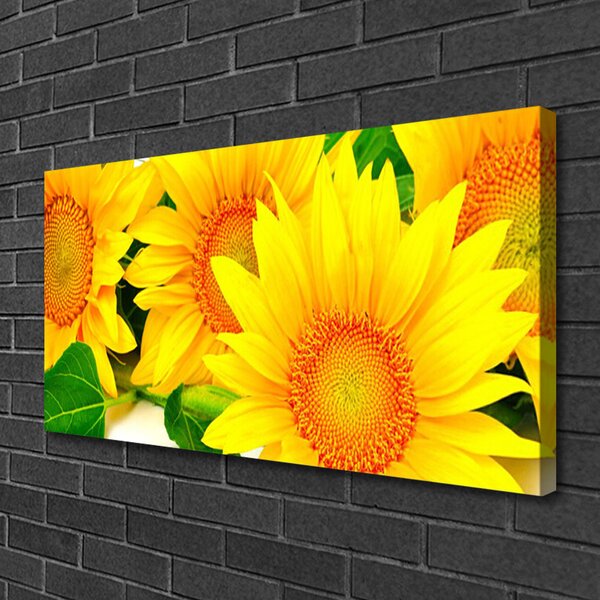 Tablou pe panza canvas Floarea soarelui Floral Galben