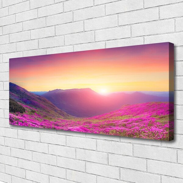 Tablou pe panza canvas Sun Mountain Meadow Natura Galben Albastru Verde Roz
