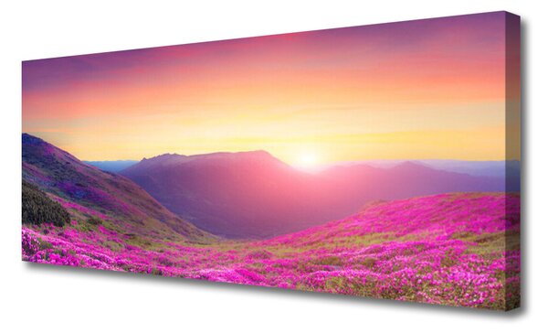 Tablou pe panza canvas Sun Mountain Meadow Natura Galben Albastru Verde Roz
