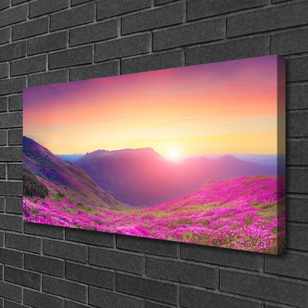 Tablou pe panza canvas Sun Mountain Meadow Natura Galben Albastru Verde Roz