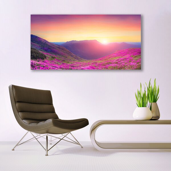 Tablou pe panza canvas Sun Mountain Meadow Natura Galben Albastru Verde Roz