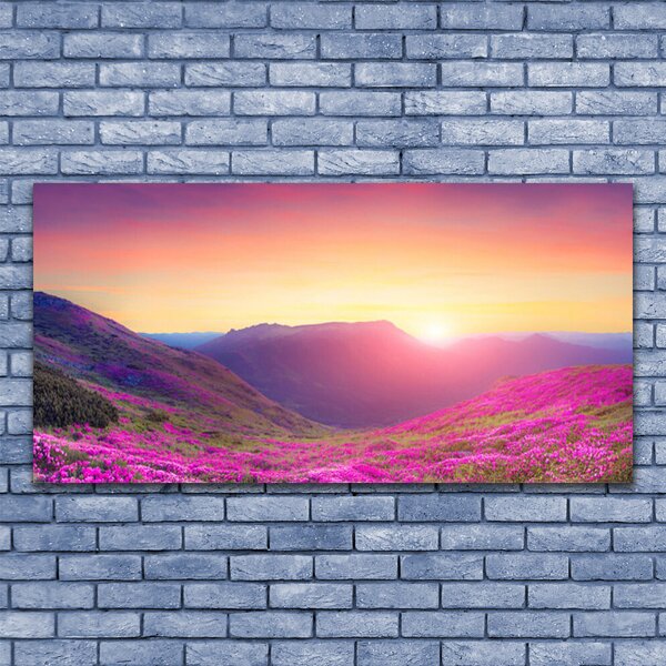 Tablou pe panza canvas Sun Mountain Meadow Natura Galben Albastru Verde Roz