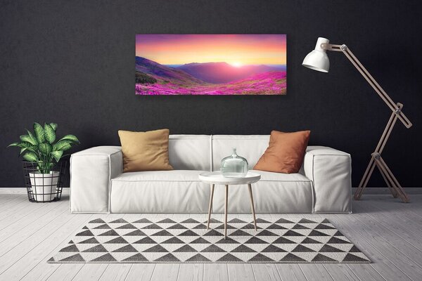 Tablou pe panza canvas Sun Mountain Meadow Natura Galben Albastru Verde Roz