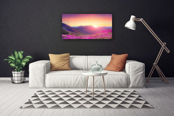Tablou pe panza canvas Sun Mountain Meadow Natura Galben Albastru Verde Roz
