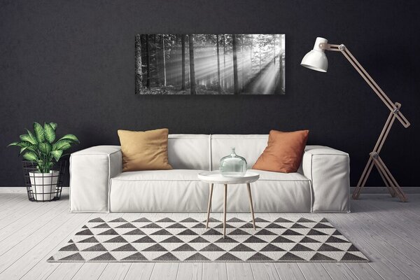 Tablou pe panza canvas Forest Nature Gray