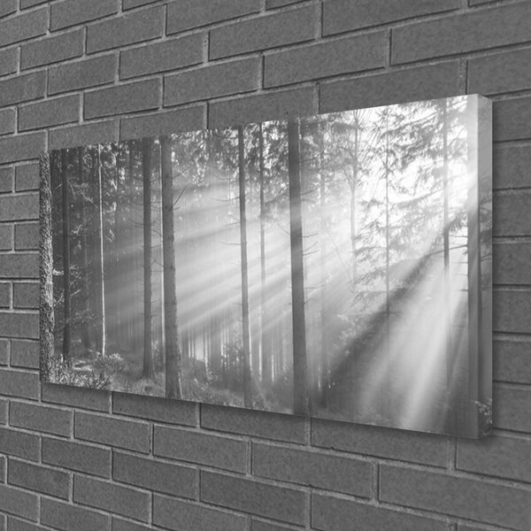 Tablou pe panza canvas Forest Nature Gray