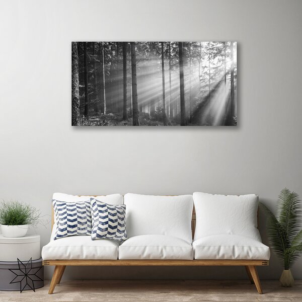 Tablou pe panza canvas Forest Nature Gray