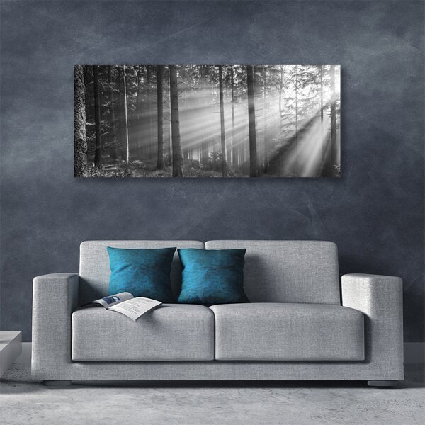 Tablou pe panza canvas Forest Nature Gray