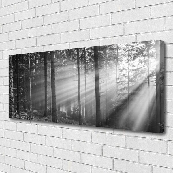 Tablou pe panza canvas Forest Nature Gray