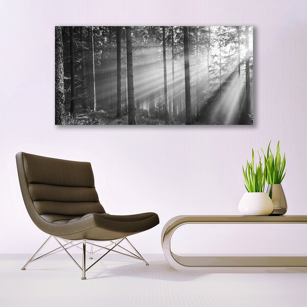 Tablou pe panza canvas Forest Nature Gray