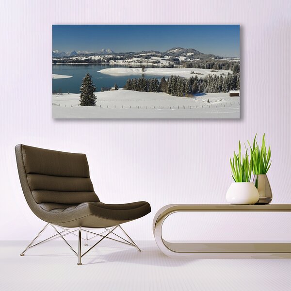 Tablou pe panza canvas Snow Lake Peisaj Forestier Albastru Alb Verde