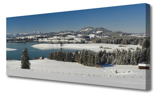 Tablou pe panza canvas Snow Lake Peisaj Forestier Albastru Alb Verde