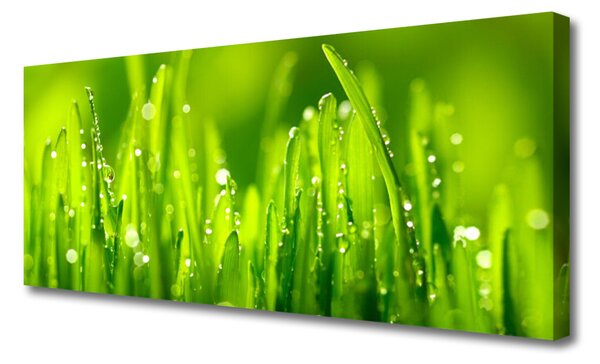 Tablou pe panza canvas Weed Natura verde