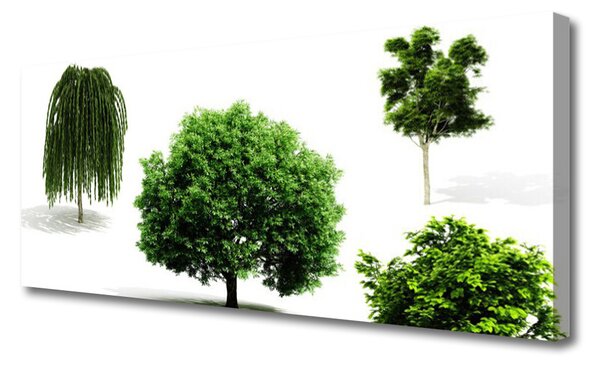 Tablou pe panza canvas Copaci Natura Brun Verde