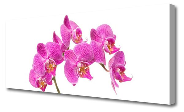 Tablou pe panza canvas Flori roz Floral