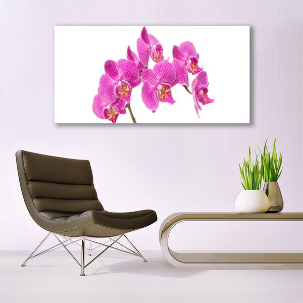 Tablou pe panza canvas Flori roz Floral